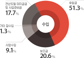 후원금56% 보조금18% 전년도말 미지급금 및 사업준비금17% 사업수입8% 기타 잡수입1%